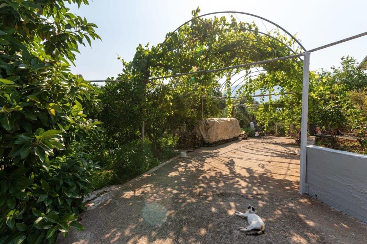 Serene Seaside Bliss - Lush & Secluded Garden Oasis Kalamata Ngoại thất bức ảnh